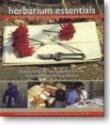 Document thumbnail image