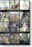 Document thumbnail image
